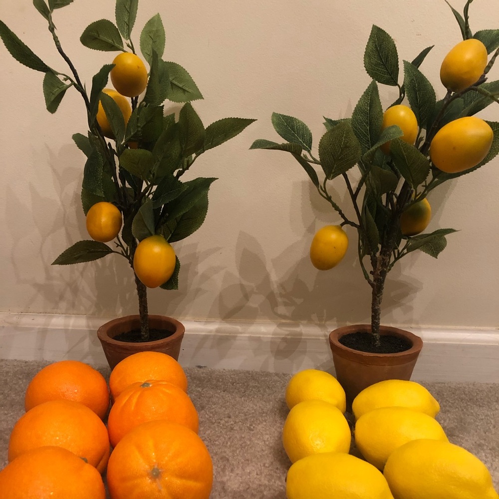 Decor